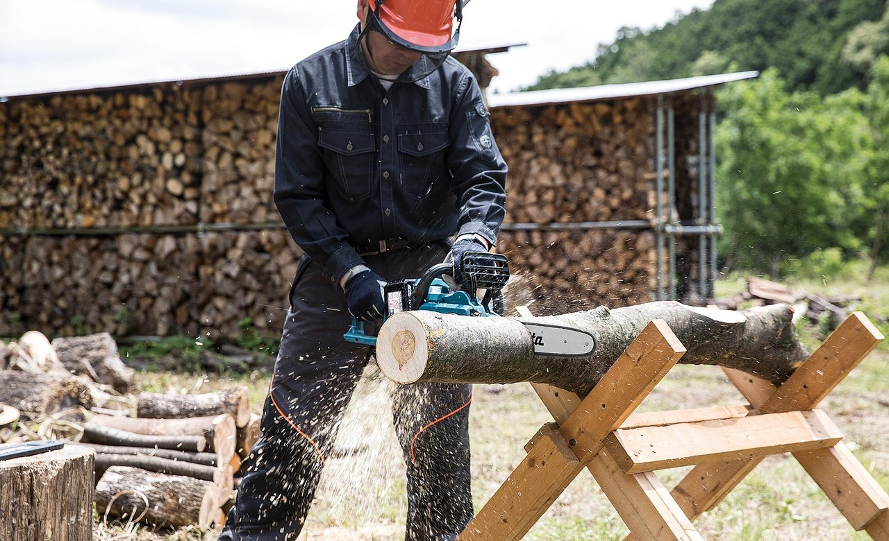 Image - chainsaw-2396616_1280.jpg